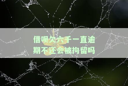 借呗欠六千一直逾期不还会被拘留吗怎么办，借呗欠款六千，逾期未还是否会被拘留？解决方案探讨