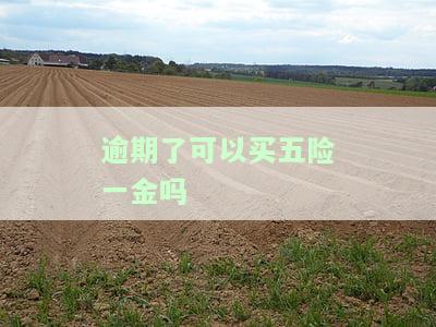 逾期对买五险有无影响？详解其可能产生的后果