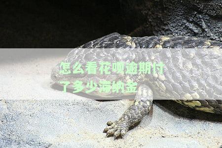 如何查看花呗逾期多久，轻松查询：如何查看你的花呗逾期时间？