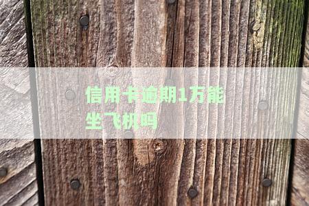 欠信用卡一年还能坐飞机、高铁、办银行卡、住酒店吗？逾期未还，能否分期还款？