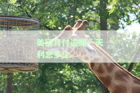美团月付逾期一天利息多少？会对征信有影响吗？