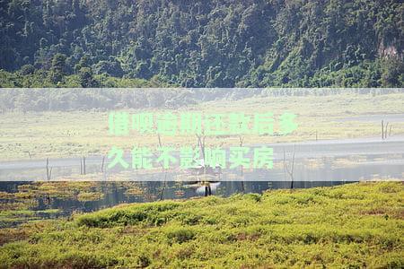 借呗逾期还款后多久能不影响买房？还清后多久恢复额度、使用及征信记录