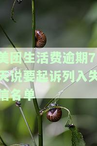 美团生活费逾期起诉真的假的，真相揭秘：美团生活费逾期是否会被起诉？