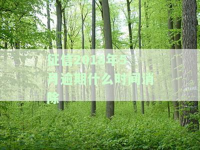征信2018年5月逾期什么时间消除呢，【提问】征信2018年5月的逾期记录需要多久才能消除？