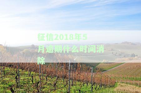 2018年的征信逾期记录多久消除？影响持续到何时？
