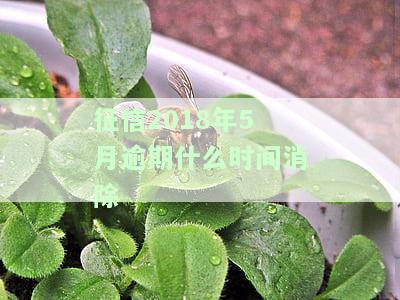 2018年征信全部清零：是真的吗？年限、规定全解析