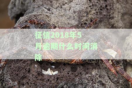征信2018年5月逾期什么时间消除-征信2018年5月逾期什么时间消除记录