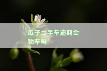 瓜子二手车逾期会锁车吗-瓜子二手车逾期会不会锁住车子电瓶