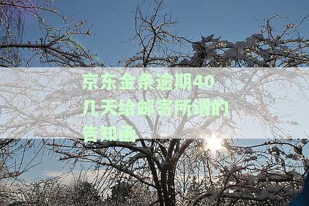 京东金条逾期40天后邮寄告知函真的有用吗？快递方式及送达时间是怎样的？