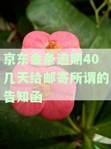 京东金条逾期发短信说要寄通告函到我家真的会寄吗？收到后该怎么做？