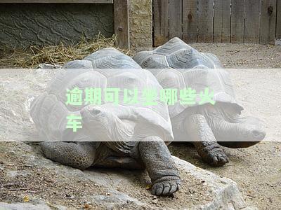 逾期可以坐哪些火车出行，逾期仍可购票！这些火车出行不受影响