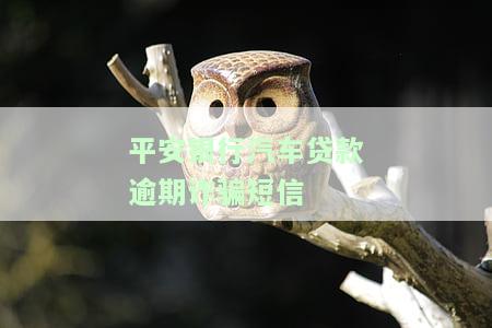 平安银行车抵贷逾期5天,会爆通讯录吗？可能的后果及应对方法