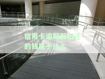 信用卡逾期后归还的钱属于什么资产，信用卡逾期后的还款：究竟属于何种资产？