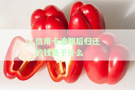 信用卡逾期后归还的钱属于什么行为，解析信用卡逾期后还款的行为性质