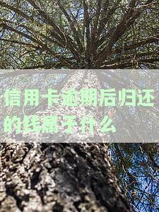 欠信用卡钱逾期的话会怎么样，逾期未还信用卡债务的后果是什么？