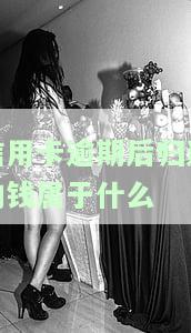 信用卡逾期后归还的钱属于什么-信用卡逾期后归还的钱属于什么费用