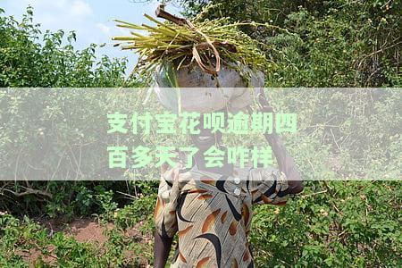 支付宝花呗逾期四百多天了会怎样处理？