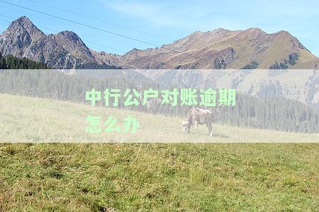 中行公户对账逾期怎么办