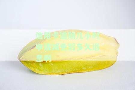 信用卡逾期几小时申请减免后多久退息啊怎么办，信用卡逾期几小时，申请减免后多久能退息？解决办法大公开！