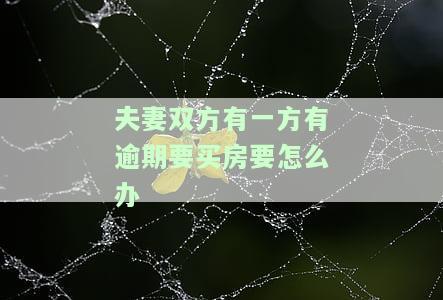 夫妻双方有一方逾期能按揭买房吗，逾期还款能否影响夫妻共同购房的按揭贷款申请？