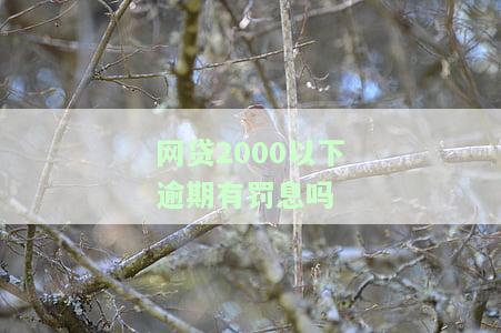 网贷2000逾期是否会被起诉？了解后果与解决办法