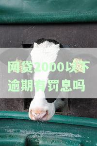 网贷2000以下逾期有罚息吗-网贷2000逾期后果