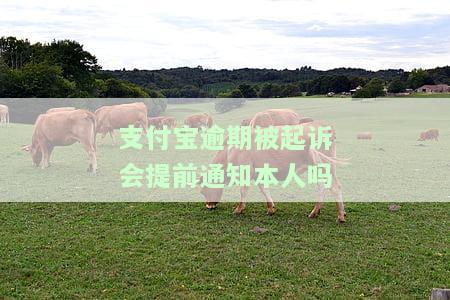 支付宝逾期被起诉后再还款有影响吗，支付宝逾期后被起诉再还款，会对信用记录产生影响吗？