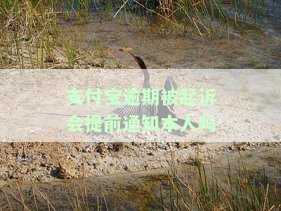 支付宝逾期被起诉会提前通知本人吗-支付宝逾期被起诉会提前通知本人吗知乎