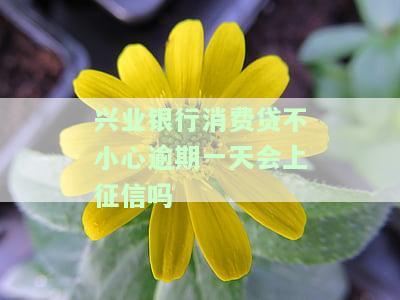 兴业银行消费贷不小心逾期一天会上征信吗