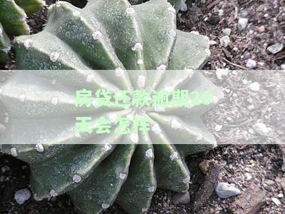 房贷逾期20天怎么处理，房贷逾期20天：应该如何处理？