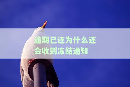 逾期还了为什么还打电话，逾期还款后，为何银行还会持续打电话催收？