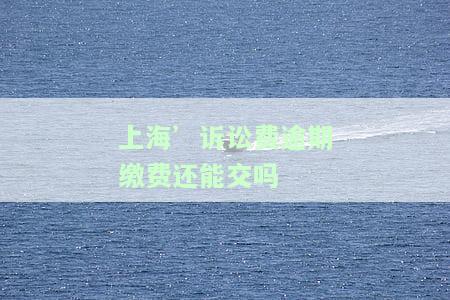 上海法院诉讼费退款进度查询：多久能收到退款？