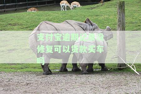 支付宝逾期记录没修复可以贷款买车吗安全吗，支付宝逾期未修复是否会影响购车贷款安全性？