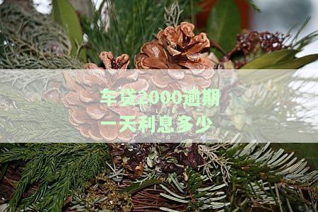 车贷2000逾期一天利息多少呢，询问：车贷逾期一天的利息是多少？