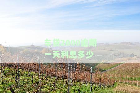车贷2000逾期一天利息多少-车贷2000逾期一天利息多少钱