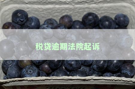 如何应对银行税贷逾期被起诉？影响及解决办法