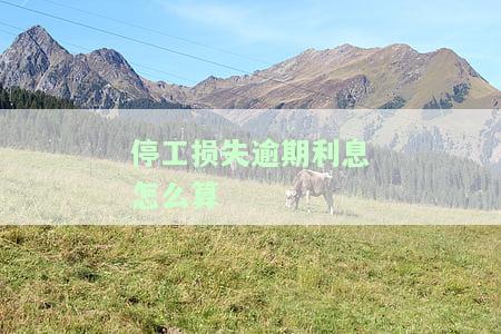 停工损失逾期利息如何计算？停工期间是否应计息？停工损失、利息及处理方式解析