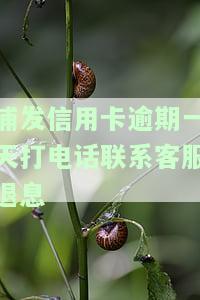 浦发逾期8天,银行打电话要求全额还款，浦发银行催收：逾期8天，需全额还款！