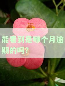 怎么样能看到你的所有逾期，如何查看您的全部逾期记录？