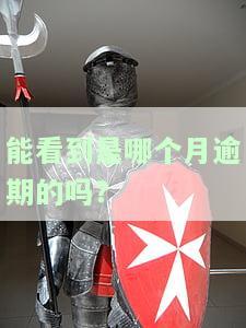 能看到是哪个月逾期的吗？-能看到是哪个月逾期的吗安全吗