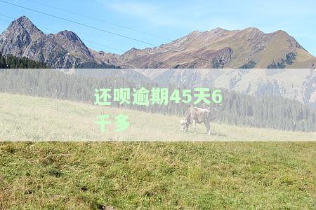 还呗逾期45天6千多正常吗？已还款2000多，逾期40多天会怎样，会被起诉吗？