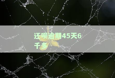 还呗逾期四天了怎么办，急需解决：还呗逾期四天，我应该怎么做？