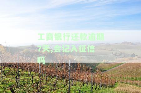 工商银行还款逾期7天,会记入征信吗
