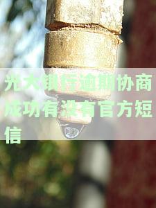 光大银行逾期协商还款方式：多久合适？需要重新签协议吗？最多可分多少期？
