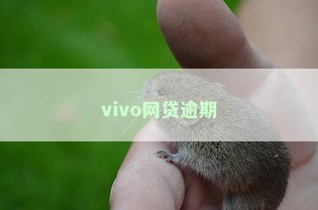 vivo网贷逾期好几年了会被起诉吗，逾期多年，vivo网贷是否会起诉你？