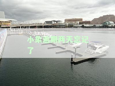 小象逾期两天忘记还款？影响及解决办法全解析！