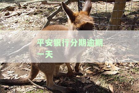 平安银行分期逾期一天算逾期吗，平安银行分期：逾期一天是否会被视为逾期？