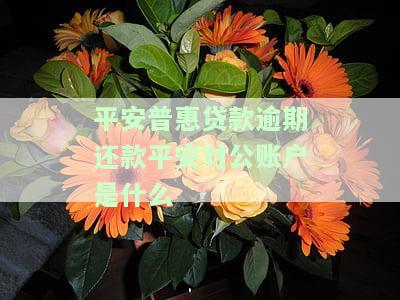 平安普对公账户还款以后联系谁，如何在平安普对公账户还款后进行联系？