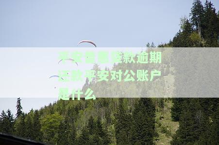 平安普有对公账户是真实的吗？了解其安全性和对公渠道、账号信息