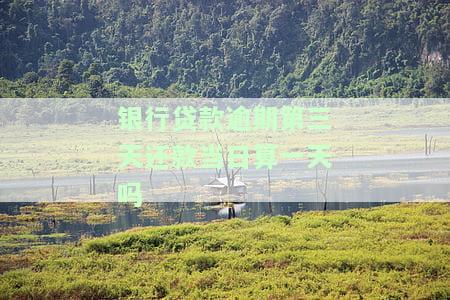 银行贷款逾期第三天还款当日算一天吗，关于银行贷款逾期的疑问：第三天还款是否算作逾期的第一天？